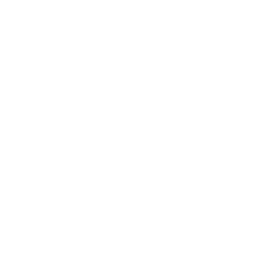 Ícone Passaporte